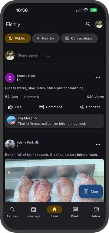 Fishily feed in dark mode.
