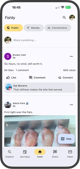 Fishily app feed
